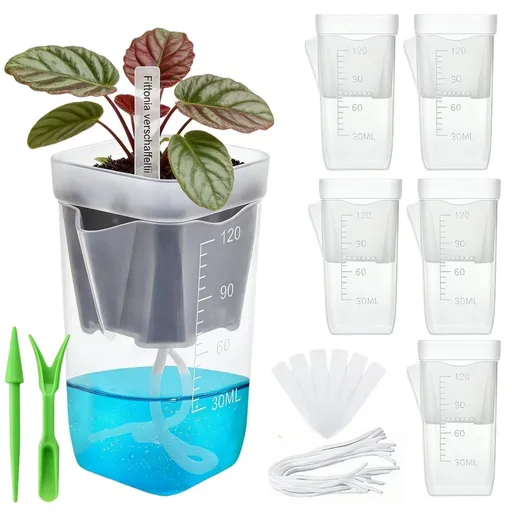 6 Pcs Plastic Self Watering Pots Clear Planters with Drainage 2 Small Hydroponic Nursery Propagation Cups with Visible Water Level for Violet, Succulent, Alocasia, Cutting, Seeding