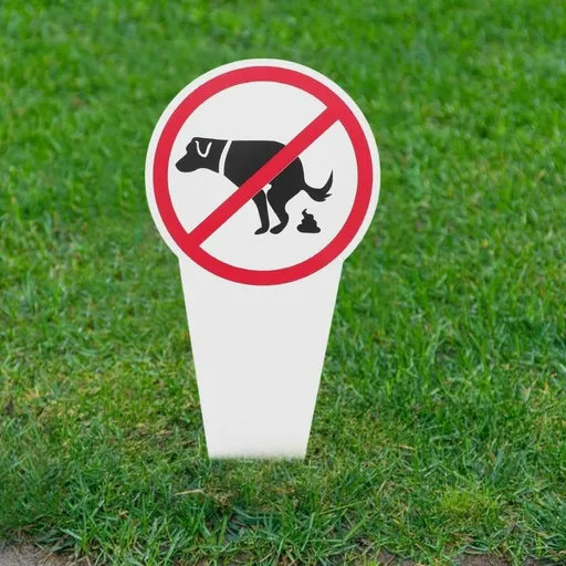 No dog poop sign pack, double-sided - Respect/No poop and pee, protect your beautiful lawn or yard (11.4 inches x 5.5 inches)
