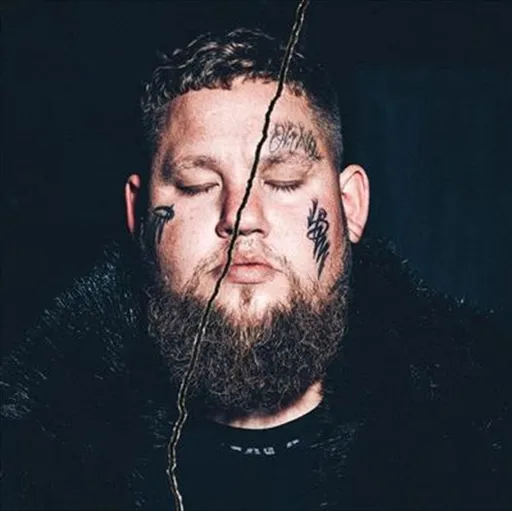 Life By Misadventure - Rag N Bone Man Cd Album