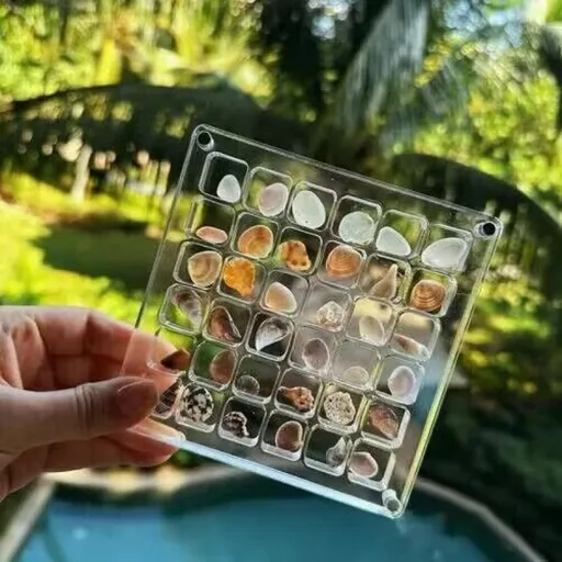 Acrylic Magnetic Seashell Display Box,Small Transparent Organizer Holder, Clear Storage Box for Bead, Nail, Jewelry (36 Grids)