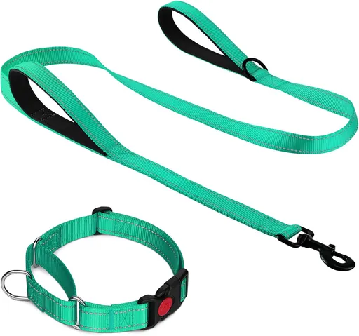 Martingale Dog Collar(12.5-16''), 6FT Double Handle Leash for Training, Teal -