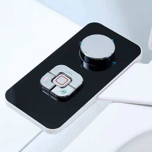 Non-Electric Cold Water Bidet Toilet Seat Attachment with Pressure Controls, Retractable Self-Cleaning Dual Nozzles - Black
