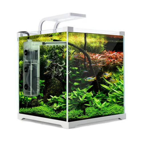 Aquarium Starter Kit Starfire Glass 16L with Filter Pump