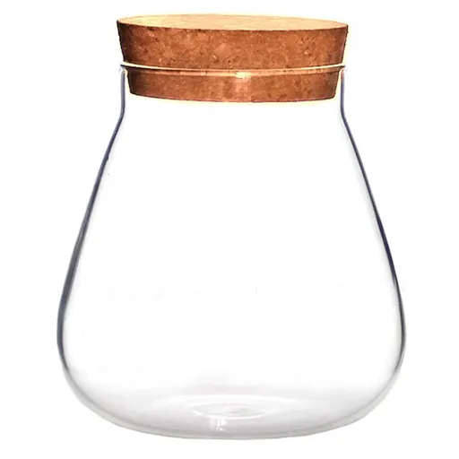 Round Glass Jar Plant Terrarium Tabletop Succulent Planter Moss Balls Buds Vase Wish Bottle Candy Cookie Jar Canister with Cork