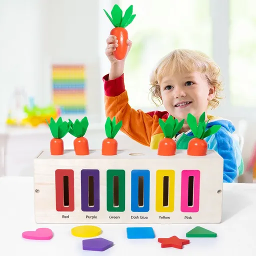 Toys for Toddler Age 1, 2, 3 Year Old, Wooden Color & Shape Sorting Matching Box, Early Learning Toys for 12+ Month