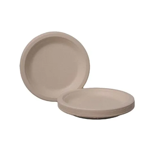 100x Biodegradable Sugarcane Paper Trays - Eco-Friendly & Durable for Food - 7inches-100pcs