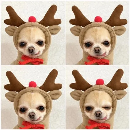 Pet Hooded Sweatshirt Cotton Autumn Winter (drawstring style) hooded sweater apricot elk 2XL (bust 62CM about 8.00 kg-11.00 kg pets)