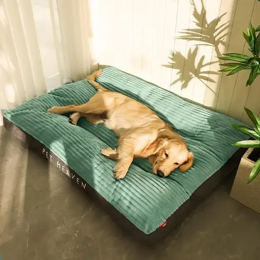 Luxuriously Soft and Thick Pet Sleeping Mat, Perfect Four-Season Floor Bed for Dogs and Cats, Removable Washable Cover with Waterproof Non-Slip Base, Ideal for Light Sleepers and All Breeds (2XL,Green)