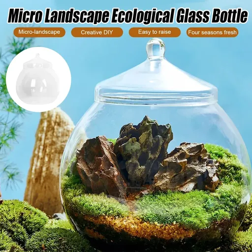 Mini Micro Landscape Eco Glass Bottle Terrarium Desktop Garden Made Nature Gift