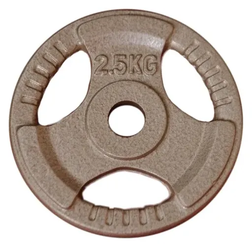 2.5kg Standard Size Cast Iron Weight Plate