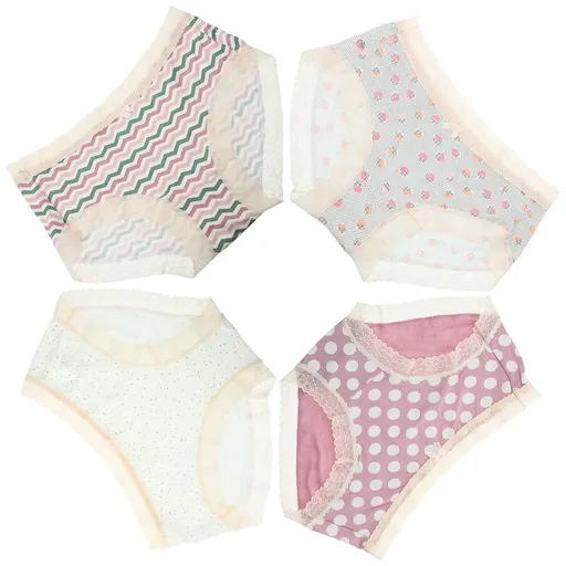 Ladies Nylon Briefs, Breathable Low Waist Design, Assorted Color, 4Pcs
