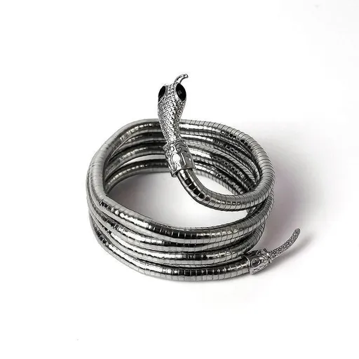Adjustable Punk Snake Choker Necklace & Flexible Wrap Bracelet Collar Setllar - Silver