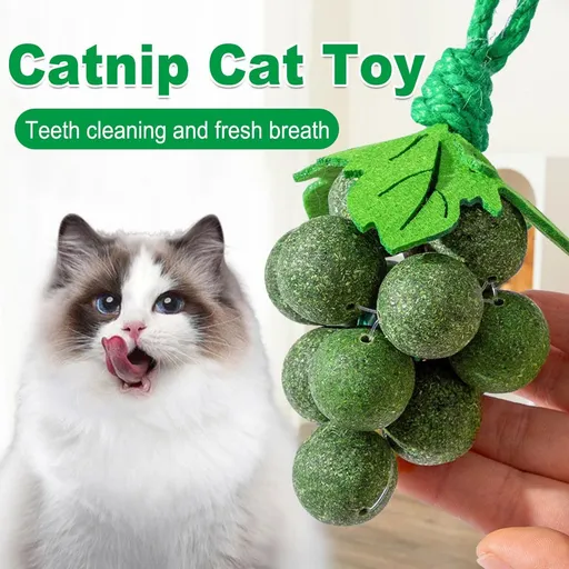 Catnip Toys Mint Ball Teeth Grinding Cleaning Teasing Toy for Cats Oral Health