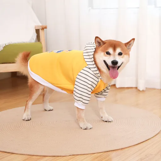 Autumn/Winter Dog Clothes - Yellow Hoodie with Striped Hood & Baseball Bear (Size - L)