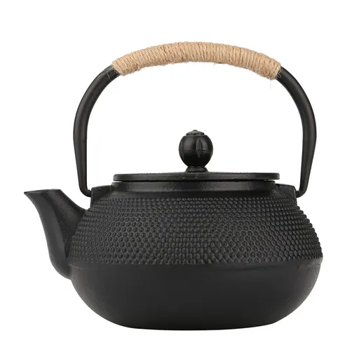 800ml Japanese Style Cast Iron Kettle Teapot Removable Infuser Strainer Tea Pot