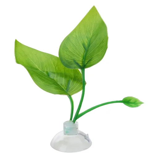 Natural Environment BettaFish Spawning Pad Aquariums Decoration Aquariums Decoration for Betta Fish（1pcs）