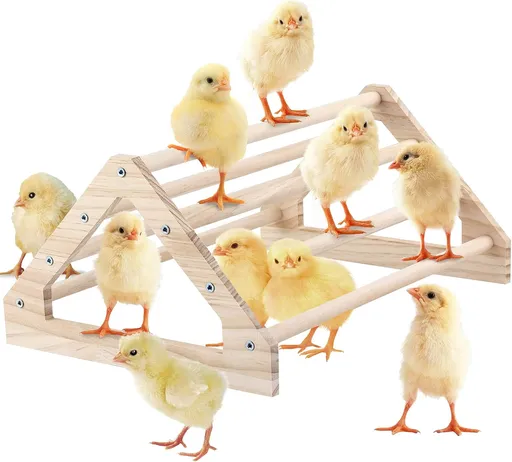 Wooden Chick Perch Stand, Pine Roosting Bar, Jungle Gym Perch Toys for Chicken Coop & Brooder, Bird Perch for Baby Chicks & Parrots (Large)