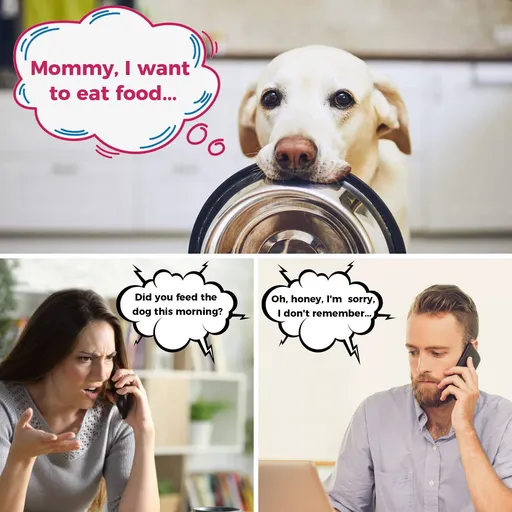 Dog Feeding Reminder Sign, Magnetic Tracking Board, Daily AM/PM Chart, Durable Plastic