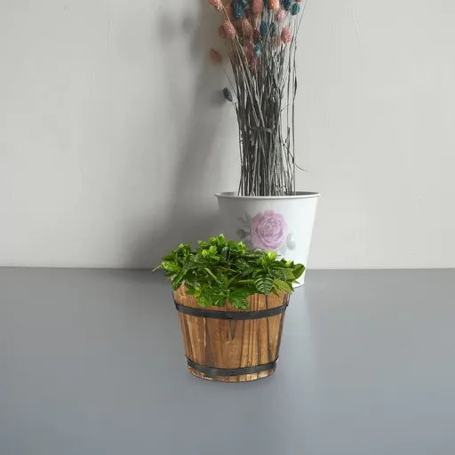 Vegetable Barrel Retro Decor Large Plant Vase for Garden Succulents Planter Pot Wooden Flower Bowl