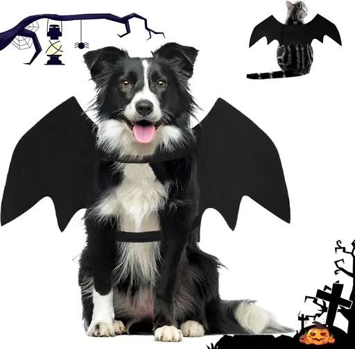 Dog - Cat - Creative Animal Clothing - Dog Costume - Halloween - Christmas - Bat Wings - Cat Clothing - Christmas Clothing - Bat Wings Costume - Black - for Home / Party / Festival / Christmas / Halloween / Christmas