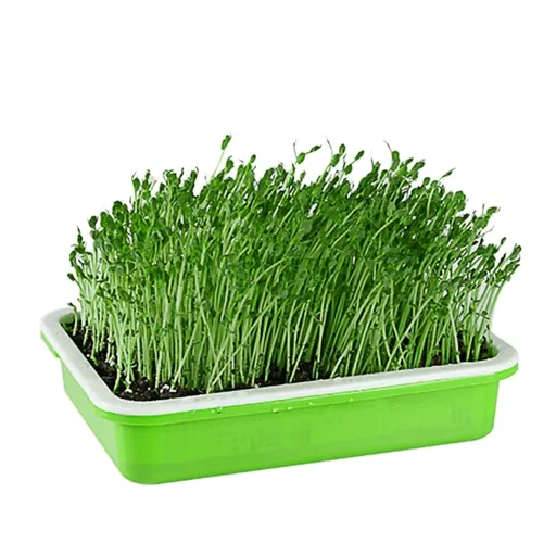 Sprouter Tray for Home Soil Free PP Grid Design with Small Holes