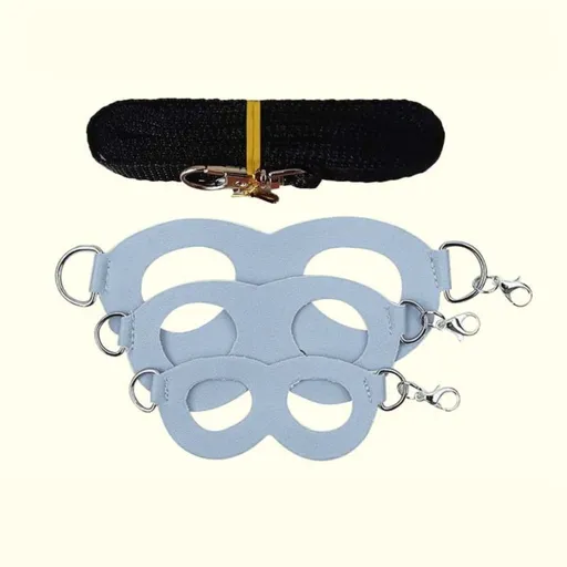 2-Pack Blue Small Mammal Harness Set – 6 Pcs (S/M/L ×2) + 2×1.5m Leashes for Secure Outdoor Handling