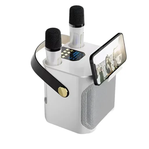 High Power Karaoke Bluetooth Speaker With Dual Microphone