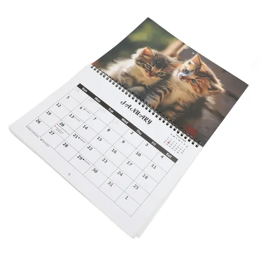 2025 Wall Cat Calendar 12 Month Thick Paper Double Sided Binding Julian Calendar Kitten Calendar for Organizing Planning