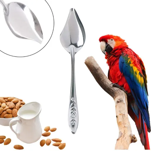 Bird Feeder Spoons Stainless Steel Milk Medicine Parrot Feeding Scoops Hand Feeding Spoons for Peony Cockatiel Parrot