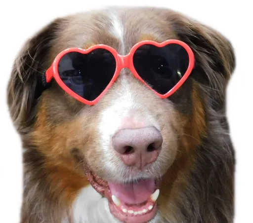 Dog Small Breed up to 15lbs Puppy Cat Pet Heart Tiny Sunglasses Photos Props Pets Party Decor Dog Sunglasses(Red)