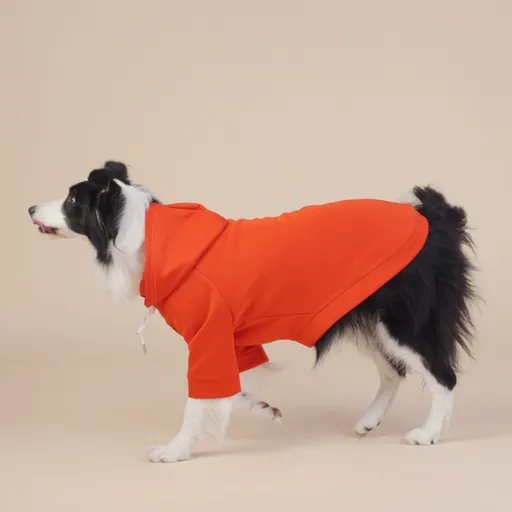 Orange Classic Dog Sweatshirt with Hood & Drawstrings - For Large Dogs (Size : 3XL)