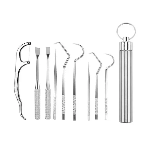 9 PCS/Set silvery Dental Teeth Pick Stainless Steel Toothpick Set Reusable Tooth Stains Remover Dental Tool Teeth Cleaning Tools