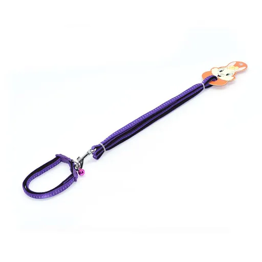 Zichen Nylon Dog Leash for Small and Medium Dogs Purple (nylon SBR foam pull item) 2.0