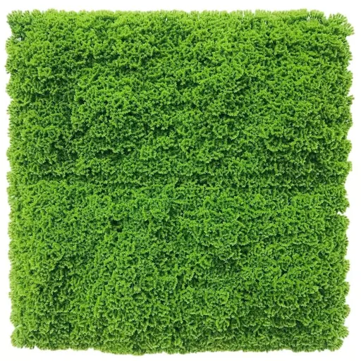 Fresh Natural Green Artificial Moss / Green Wall UV Resistant Sample