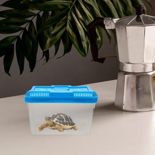 Multifunctional Portable Plastic Aquarium Tank for Fish Turtles and Reptiles
