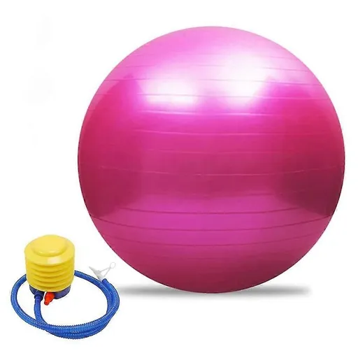 65cm Exercise Ball Extra Thick Yoga Ball Fitness Balance Trainer with Air Pump for Pilates Yoga Home Office Gym - Pink