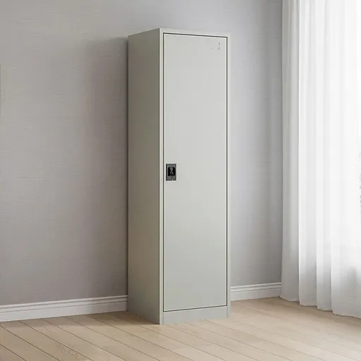 Single-Door Metal Tall Cabinet Shelf Storage for Home Office Gym