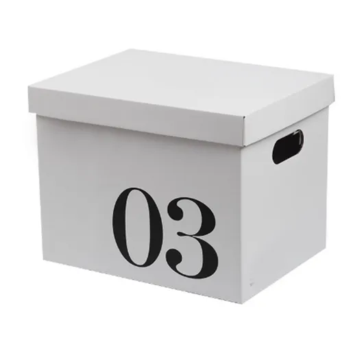 Cardboard Storage Box Large Capacity Storage Organizer Box Corrugated Paper Moving Box for Dormitory Toy No.3 Box