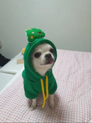 Pet Christmas Hoodie for Dogs Cats Polyester 314A Drawstring Christmas Hoodie Green Tree M (Chest: 47cm, Recommended for 9lb pets)