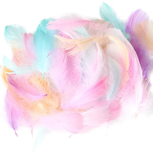 DIY Natural Colourful Craft Feathers (50 Count) 5.0-15.0 cm Natural Colourful