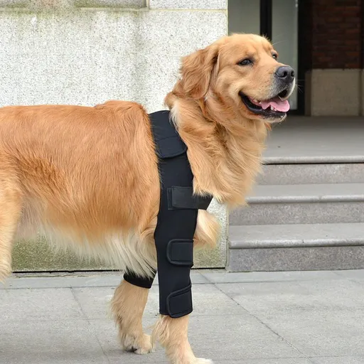 Dog Elbow Protector,Padded Elbow Brace for Small Medium Dogs - Leg Sleeve Pet Leg Wounds Protector Universal for Front (L)