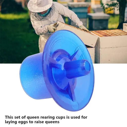 100pcs Queen Bee Cell Cups, Beekeeping Apiculture Queen bee Rearing Supplies Way Bees Escape Equipment Beekeeping (Blue)