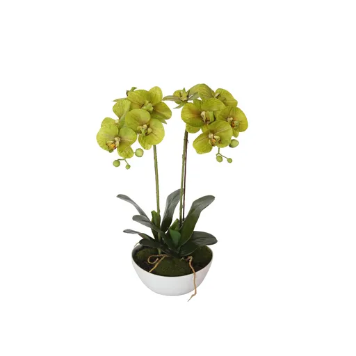 Artificial Potted Plant Dual Butterfly Orchid 50cm Cream