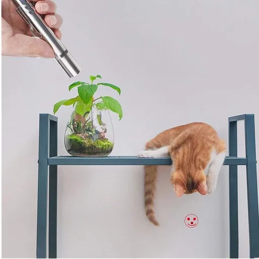 Multi-Function USB Rechargeable Laser Cat Teaser Wand with Stainless Steel Body, Ideal for Interactive Pet Play, Presentations, Currency Verification, Fluorescent Detection, and Emergency Lighting in Home, Office, and Travel Scenarios. (Silver)