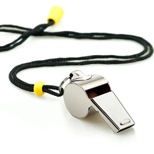 Stainless Steel Sports Whistles with Lanyard, Loud Crisp Sound Whistles Great for Coaches, Referees, and Officials
