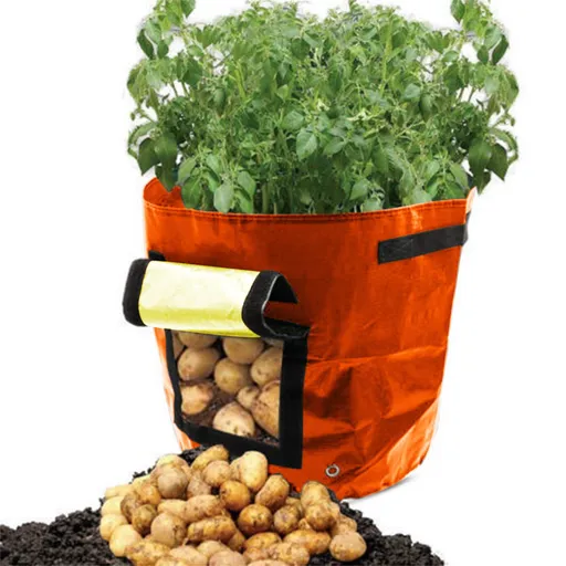 34x35cm Potato Grow Bag with Side Window & Handles 13" x 14" Yellow#1