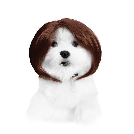 Fujia Pet Wig Dog Cat Halloween Party Pet wig linen middle parted bob