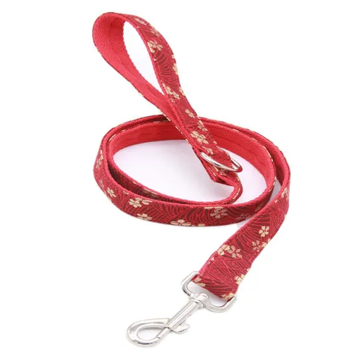 dadugo Dog Leash Nylon 1.2m Small Red Large-WIDTH 2.5cm