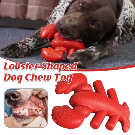 Dog Chew Toy Lobster Shape Durable Bite Toy for Dental Health Medium to Extra Large Breeds