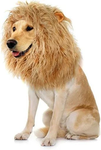 Dog Costume Lion Mane Wig with Ears Size M Yellow